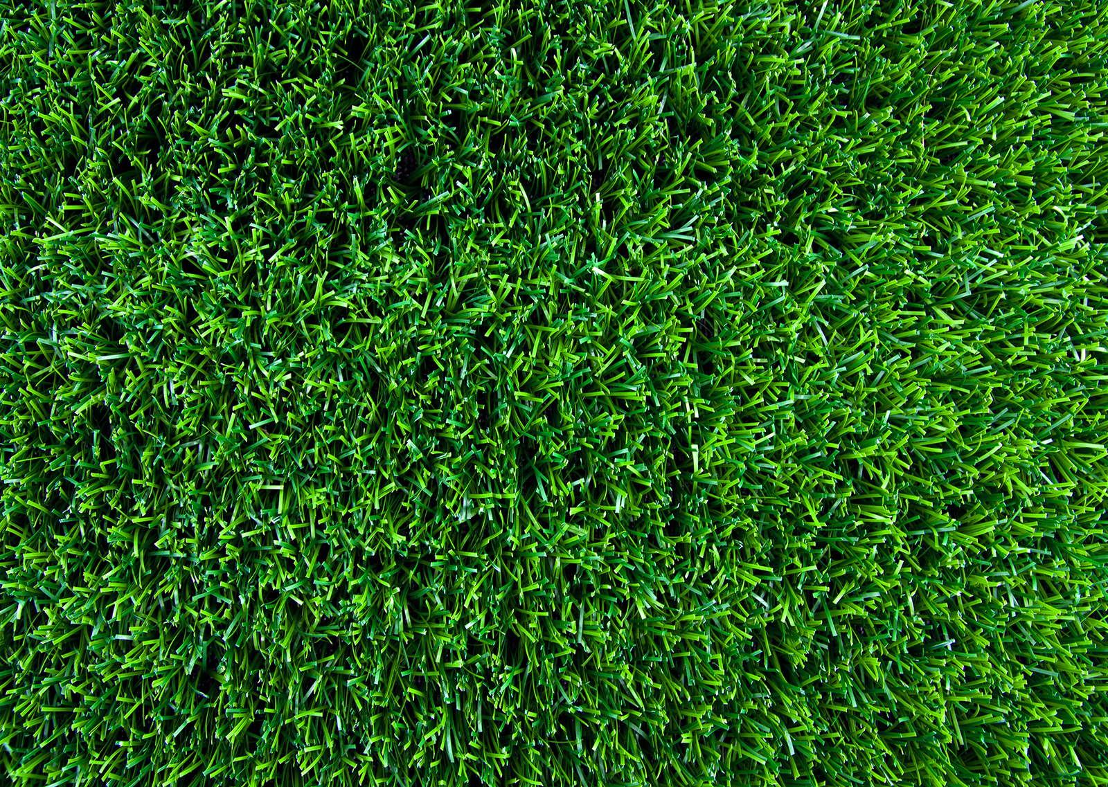 Great Piece of Turf - Wikipedia