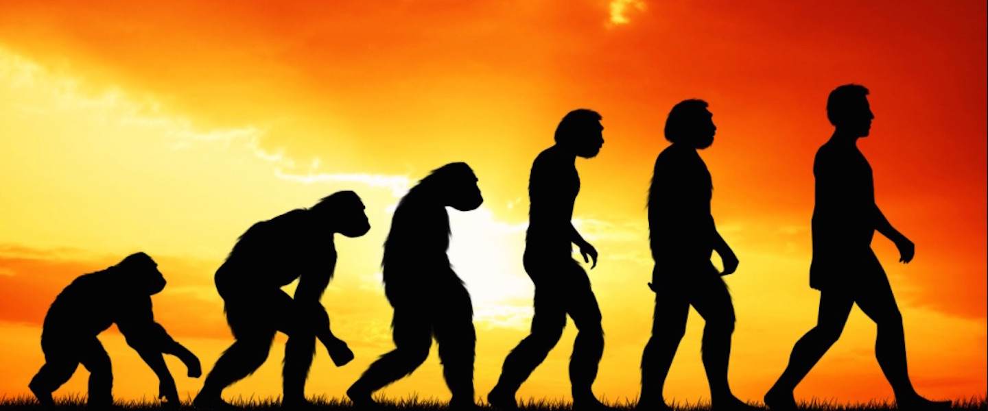 The Programmatic Marketer