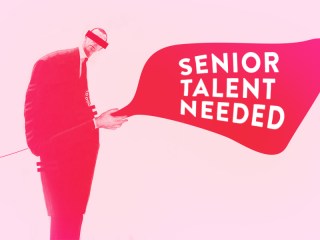 senior talent needed
