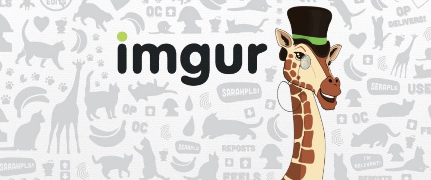 Imgur, Reddit's favorite image-sharing service, launches its own meme  generator tool