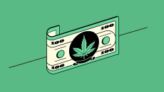 100 dollar bill with a marajuana leaf