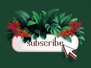 A subscribe button surrounded by lush green and red tropical plants, symbolizing how publishers cultivate and grow loyalty among their subscribers