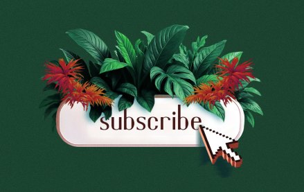 A subscribe button surrounded by lush green and red tropical plants, symbolizing how publishers cultivate and grow loyalty among their subscribers