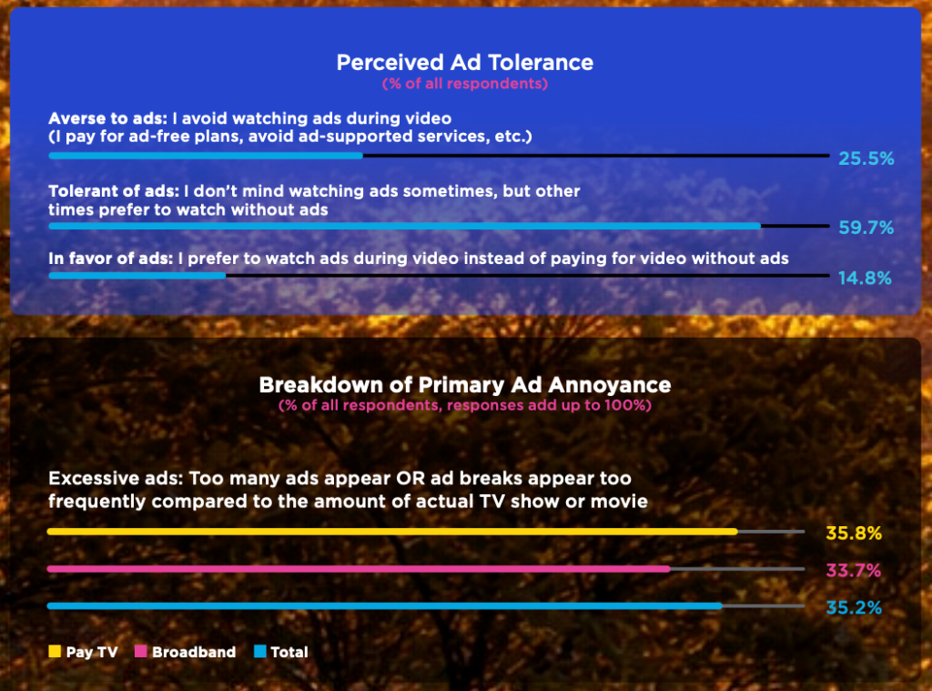 Future of TV Briefing: The ad-supported streaming landscape in graphic detail
